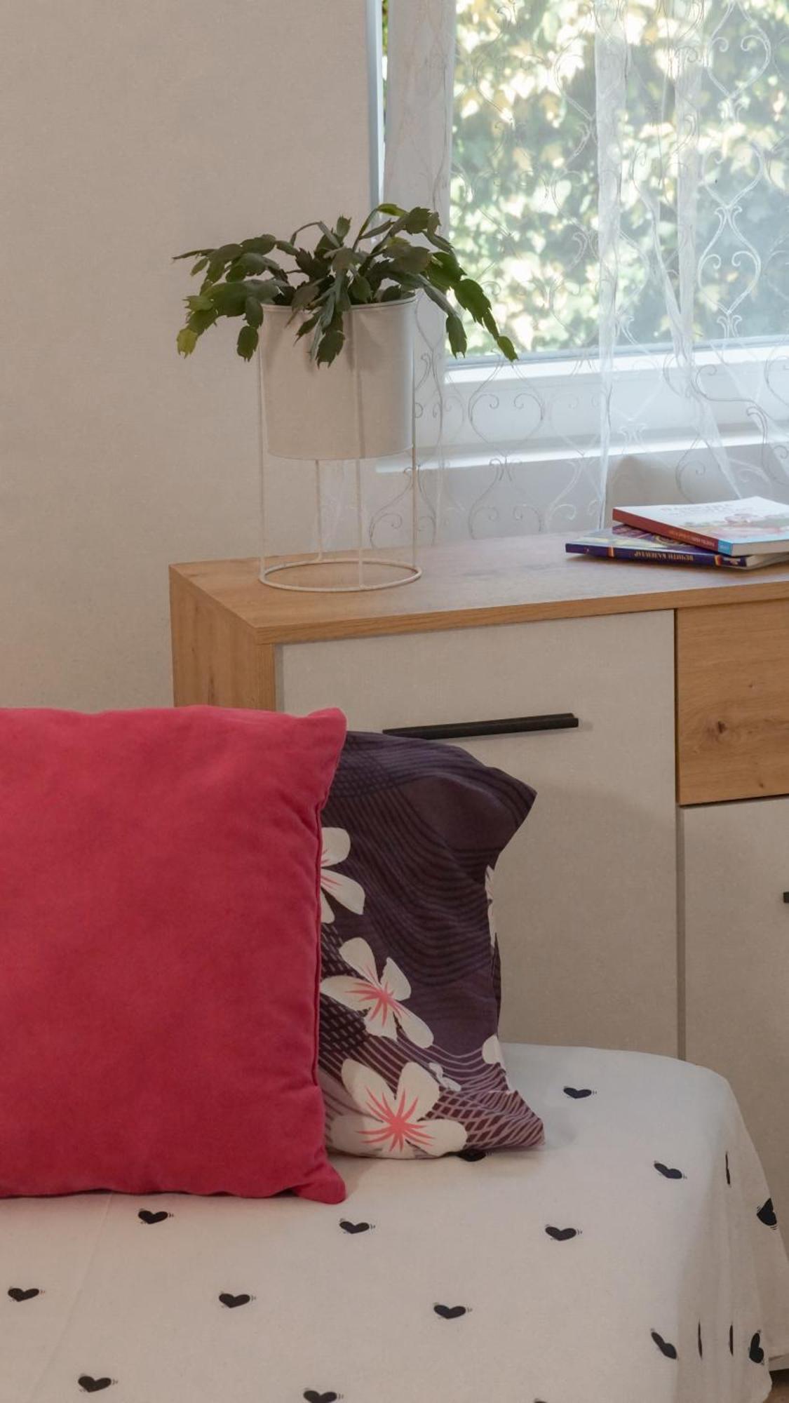 Apartmani Bubamara Leskovac Leskovac  Eksteriør bilde