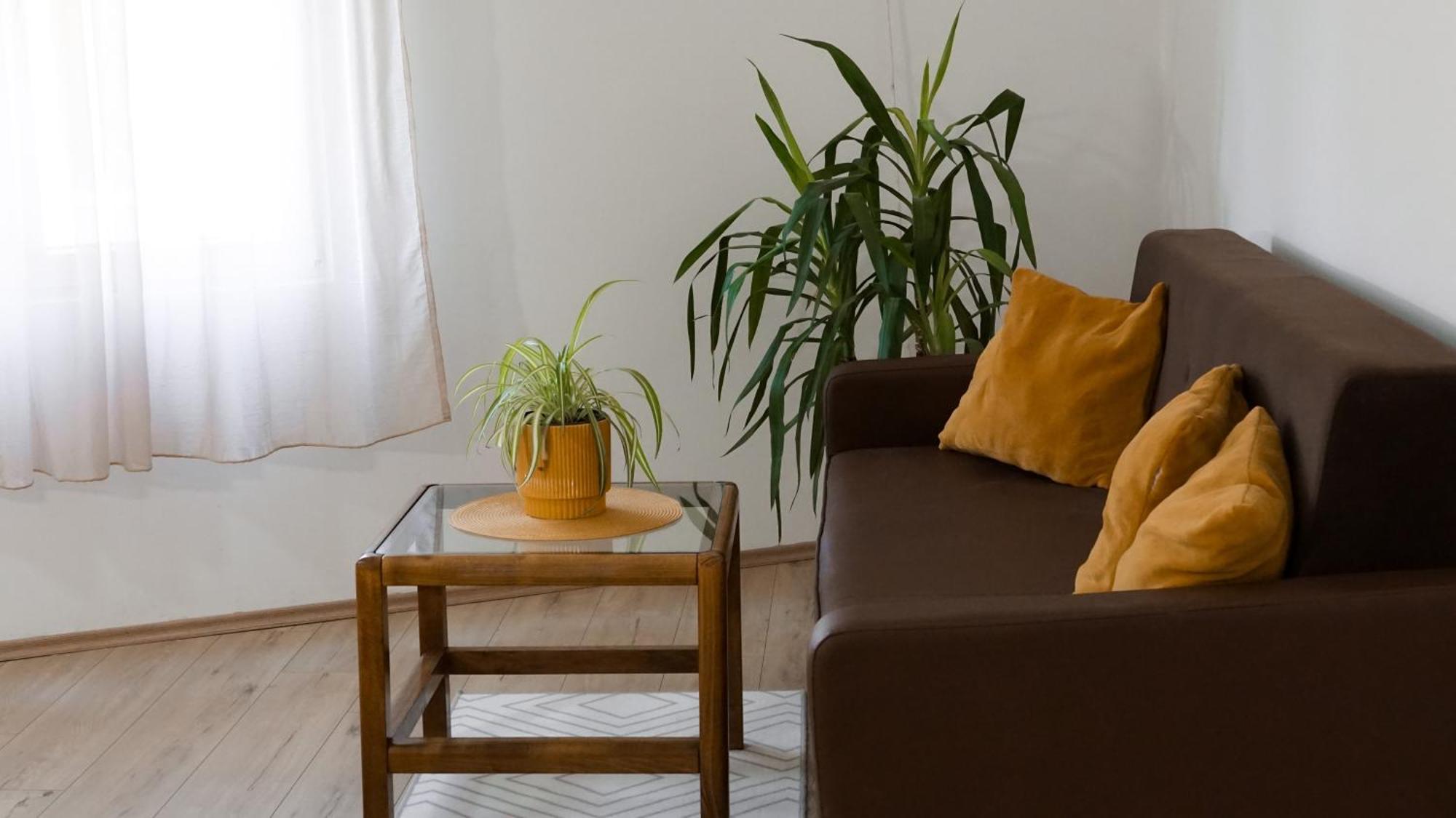 Apartmani Bubamara Leskovac Leskovac  Eksteriør bilde