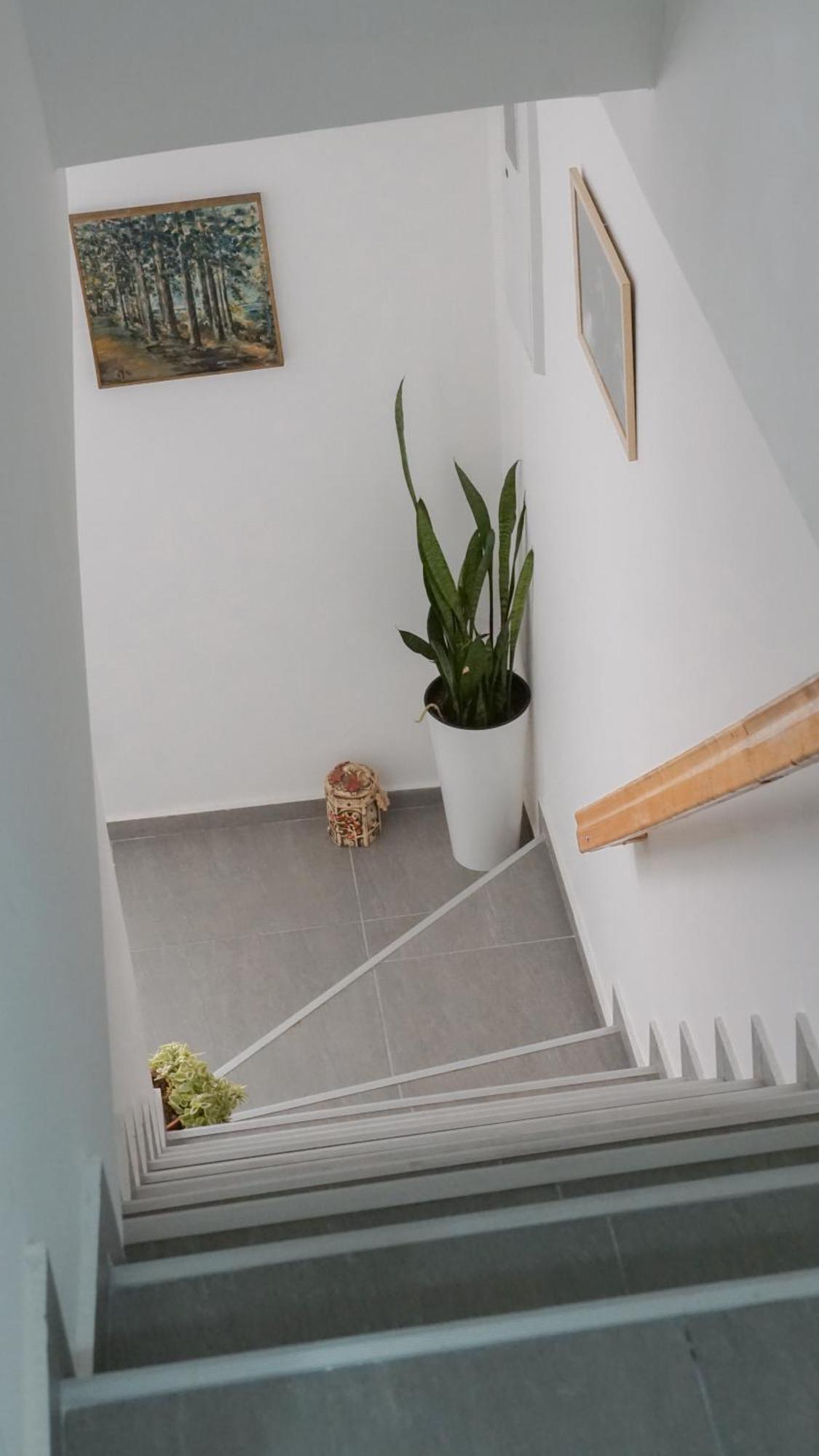 Apartmani Bubamara Leskovac Leskovac  Eksteriør bilde
